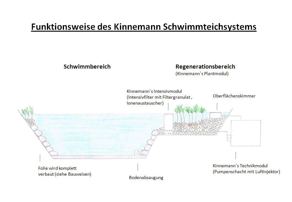 System_Teich_fertig_01